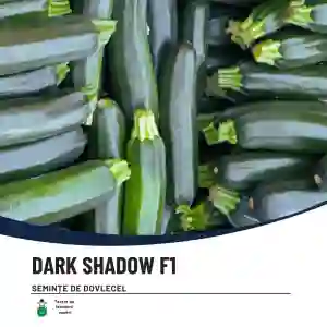DARK SHADOW F1