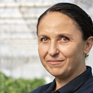 Magda TĂTINEANU