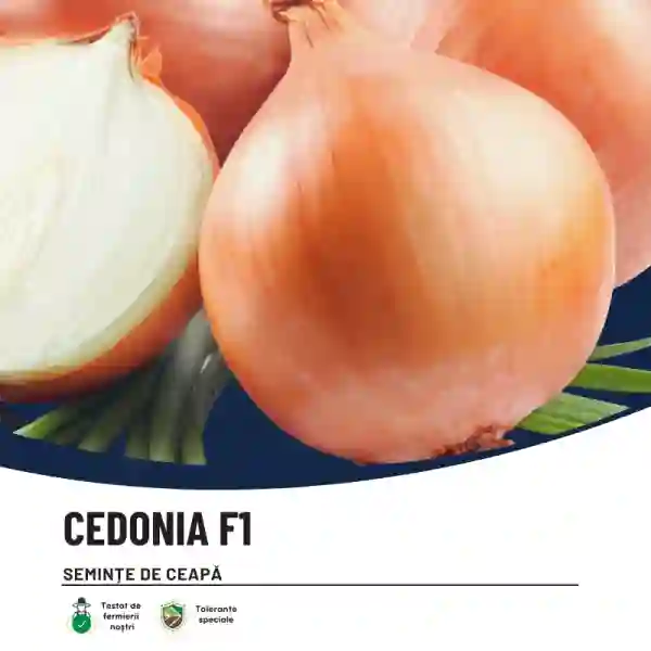CEDONIA F1-main