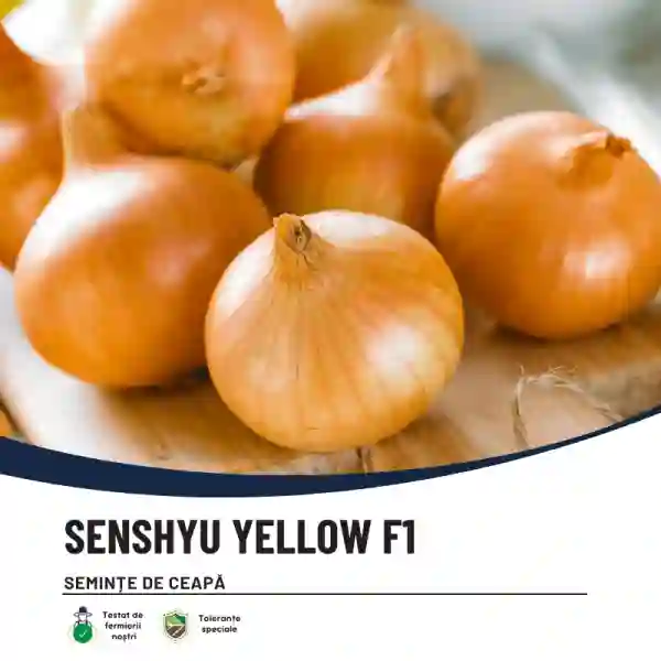 SENSHYU YELLOW-main