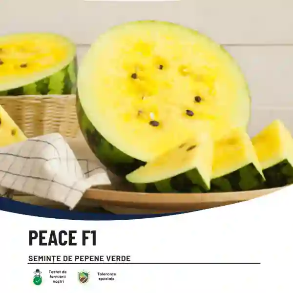 PEACE F1-main