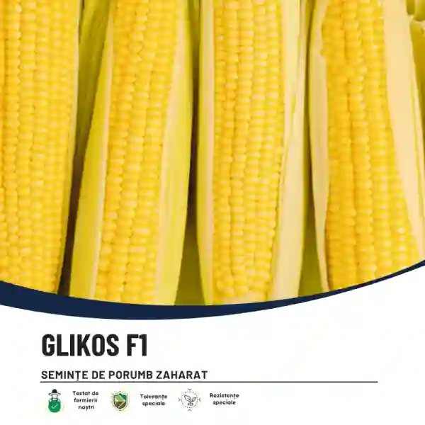 GLIKOS F1-main
