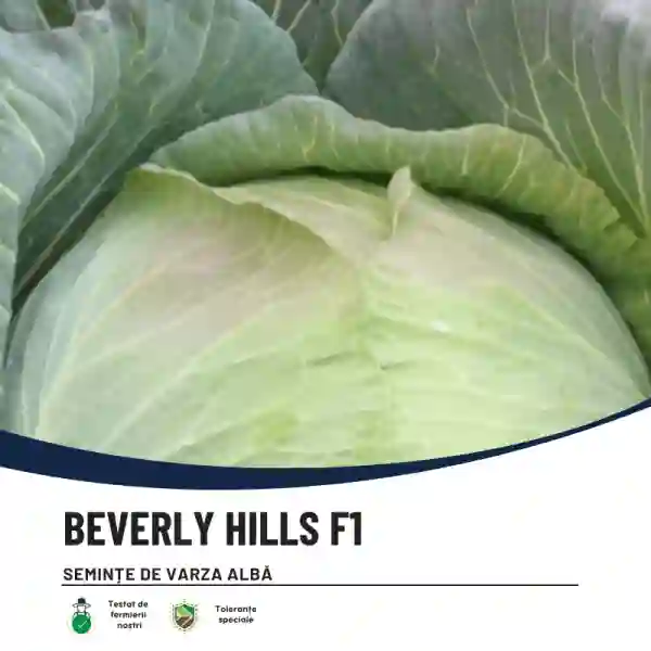 BEVERLY HILLS F1-main